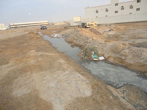 Courtesy: Sharjah Municipality