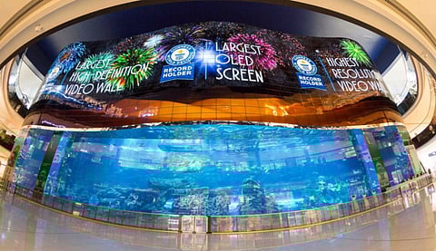 Dubai Aquarium big screen breaks Guinness records