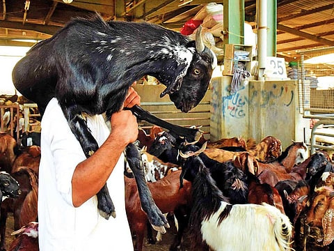 Arshad Ali/Gulf News