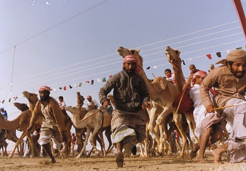 September 1, 2002: UAE enforces ban on child camel jockeys