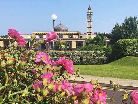 An island of saints, scholars — and shaikhs