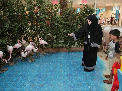 Dubai Municipality promotes ecotourism in 8 natural reserves