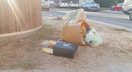 Fines and campaigns fail to deter people from littering