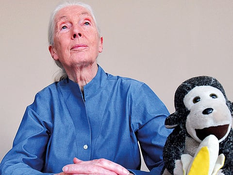 Pankaj Sharma/Gulf News