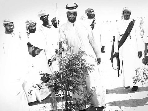 WAM/Gulf News Archives