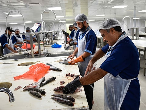 Virendra Saklani/Gulf News