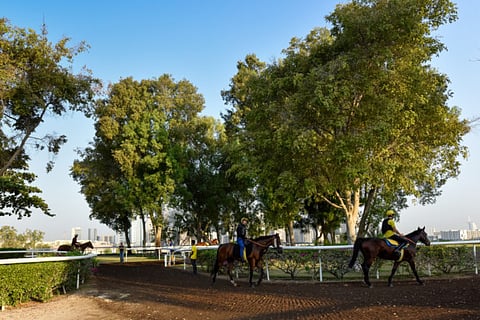 Jebel Ali reveals new recruits