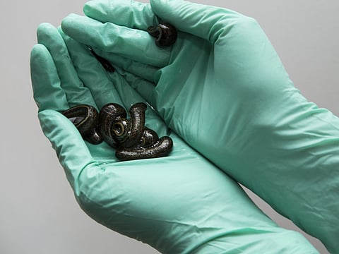 Getty Images/iStockphoto