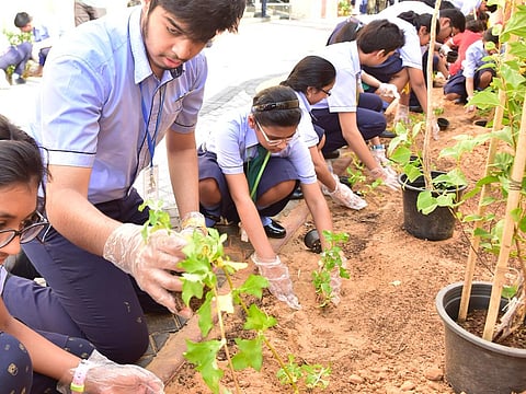 Clint Egbert/Gulf News