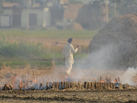 An Indian farmer is seen through smoke as he walks back after burning paddy crop stubble on the outskirts of Amritsar, Punjab state, India, Thursday, October 25, 2018. Bihar is penalising farmers for burning stubble by cutting down on subsidies.