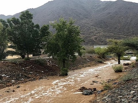 Twitter/ Courtesy: @sharjah24