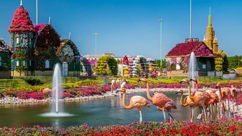 Dubai Miracle Garden has something new to offer every year