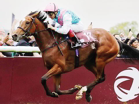 Enable, ridden by jockey Frankie Dettori, raced to victory in the 97th Prix de l’Arc de Triomphe, europe’s most prestigious horse racing, in France yesterday.