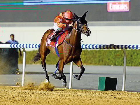 Walking Thunder, ridden by jockey Connor Beasley, won at Meydan Racecourse last week. Phoenix Ladies Syndicate will be hoping Superior can follow suit tonight.