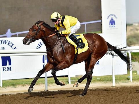 The action returns to Jebel Ali Racecourse