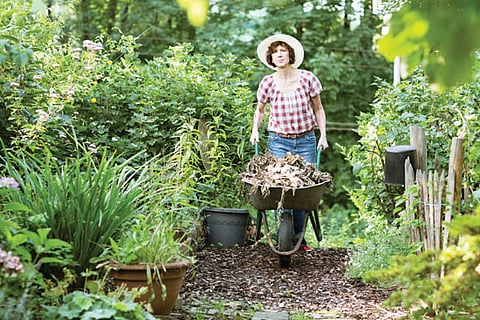 When it comes to gardening, the sky’s the limit