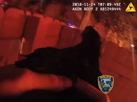 A screengrab of the bodycam video of a chicken being rescued.