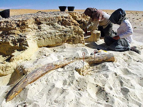 Michael Petragliaelli