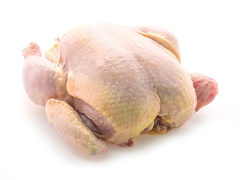 MOCCAE has issued nine resolutions, banning the import of birds and their byproducts from areas that recorded outbreaks of the highly pathogenic avian influenza in November and December 2020