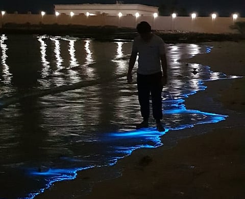 Syed Sohail at the beach in Dibba, Fujairah with bioluminescent phytoplankton.