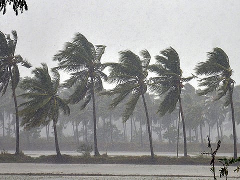 rees face heavy winds as Cyclone Phethai barrels through coastal Andhra Pradesh, near Kakinada in East Godavari, Monday, Dec. 17, 2018.