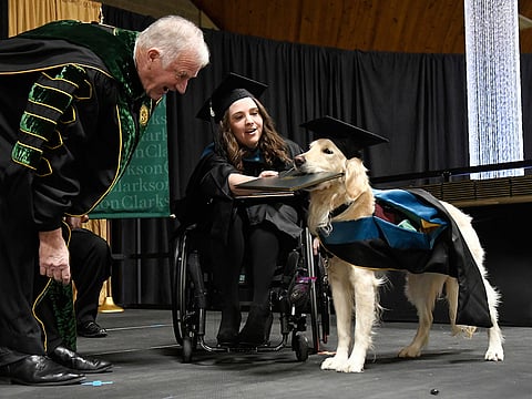 "Griffin" Hawley, the Golden Retriever service dog, is presented an honorary diploma by Clarkson University President Tony Collins, left, during the Clarkson University "December Recognition Ceremony" in Potsdam, N.Y., Saturday, Dec. 15, 2018. Griffin's owner, Brittany Hawley, in wheelchair, also received a graduate degree in Occupational Therapy. Both attended 100% of their classes together