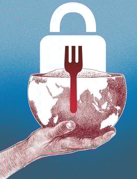 The food security rankings and the way scores are assigned have changed. Countries should make changes to securing their futures accordingly.