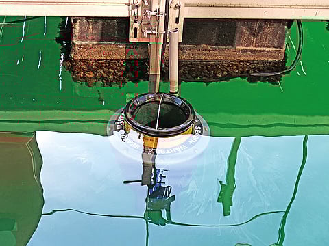 Wärtsilä Donates First Seabin to Dubai Marina Yacht Club.