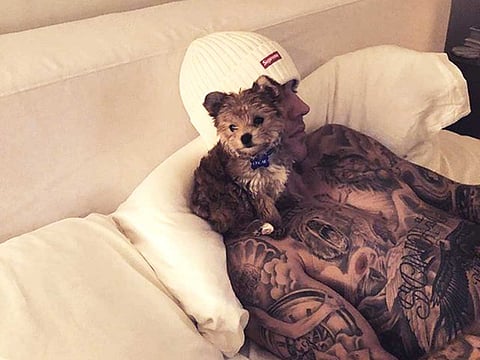 The little puppy was named Oscar Bieber