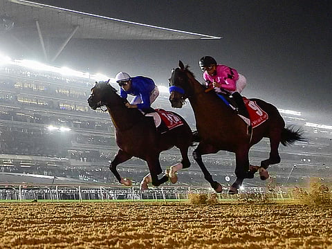 Dubai World Cup night is off