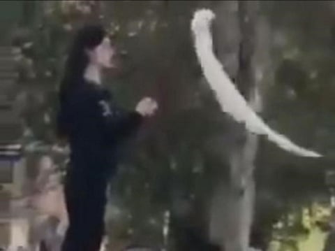 Hijabs held aloft as Iranian women protest compulsory cover-up
