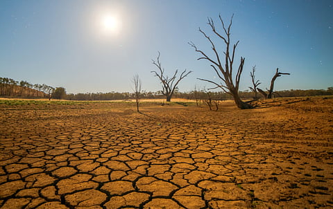 Save the environment to save Life.