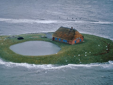 Hans Joachim Kürtz | Tumblr