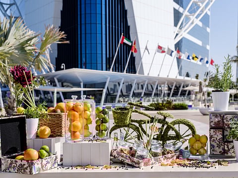 Scape’s Malibu brunch review: California dreaming