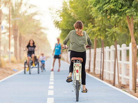 The Sustainable City