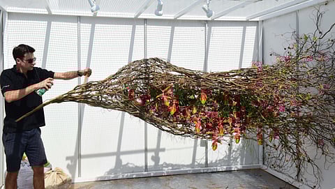 Unique flowers from across the world bloom at festival