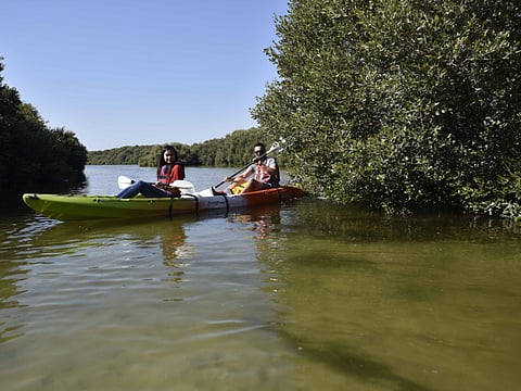 Kayaking trips through the mangroves are available at the Al Zorah Nature Reserve.