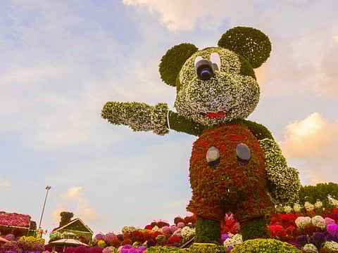 Dubai Miracle Garden