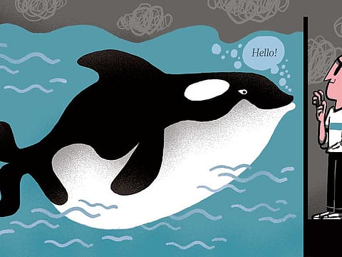 Luis Vazquez/©Gulf News