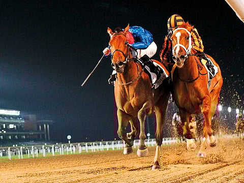 Fans are set to return to the horse racing