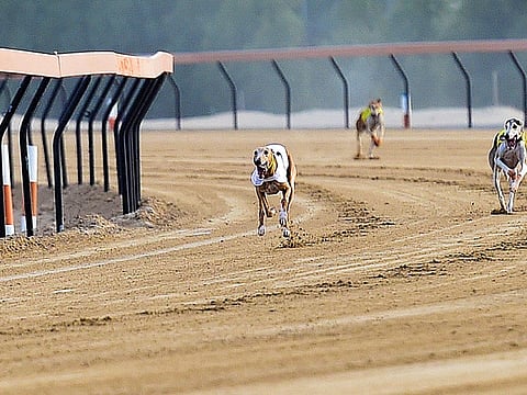 Virendra Saklani/Gulf News