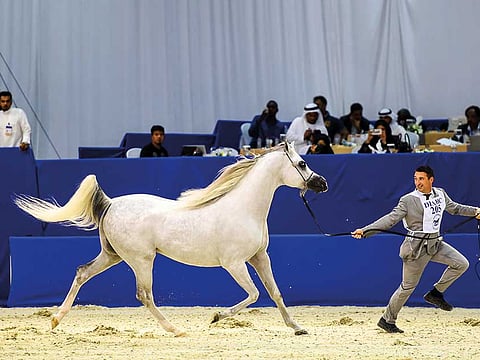 Antonin Kélian Kallouche/Gulf News