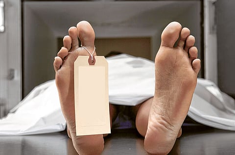 Image for illustrative purpose only