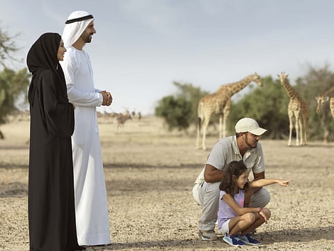 5 walking tours to explore Abu Dhabi, UAE's capital city