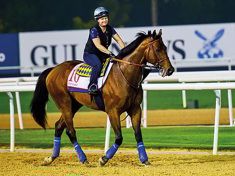 Virendra Saklani/Gulf News