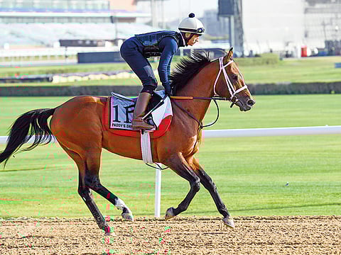 Virendra Saklani/Gulf News