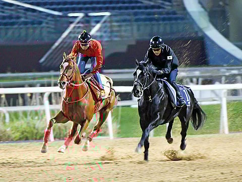 Dubai Golden Shaheen contender Matera Sky (left)