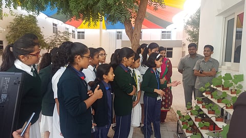 A sustainable alternative to gardening