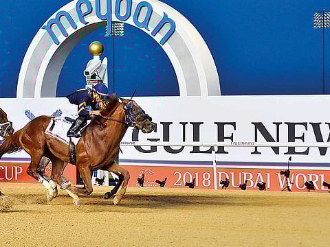 Clint Egbert/Gulf News
