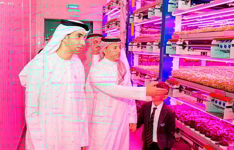 Region’s first vertical farms sprout in Dubai